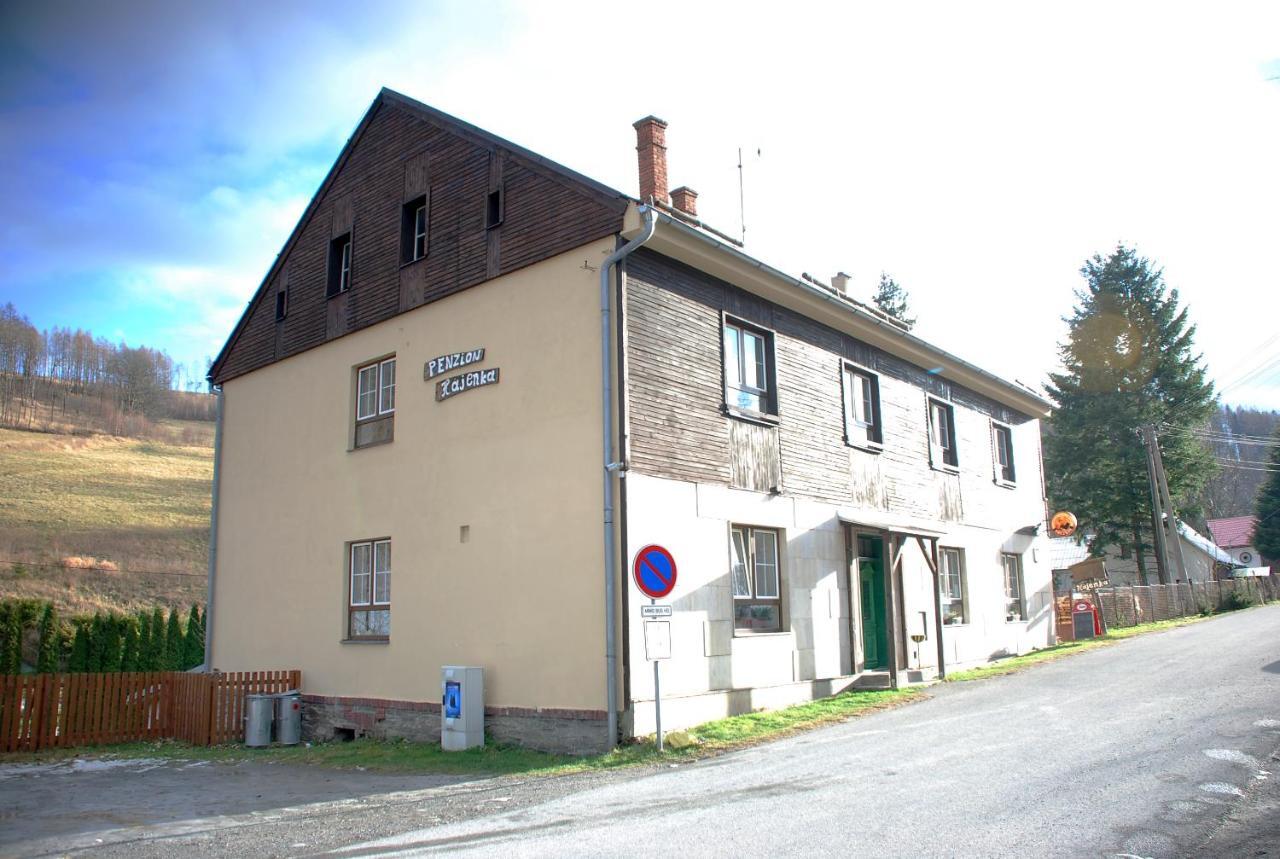 Penzion Hajenka Petrovice  Extérieur photo