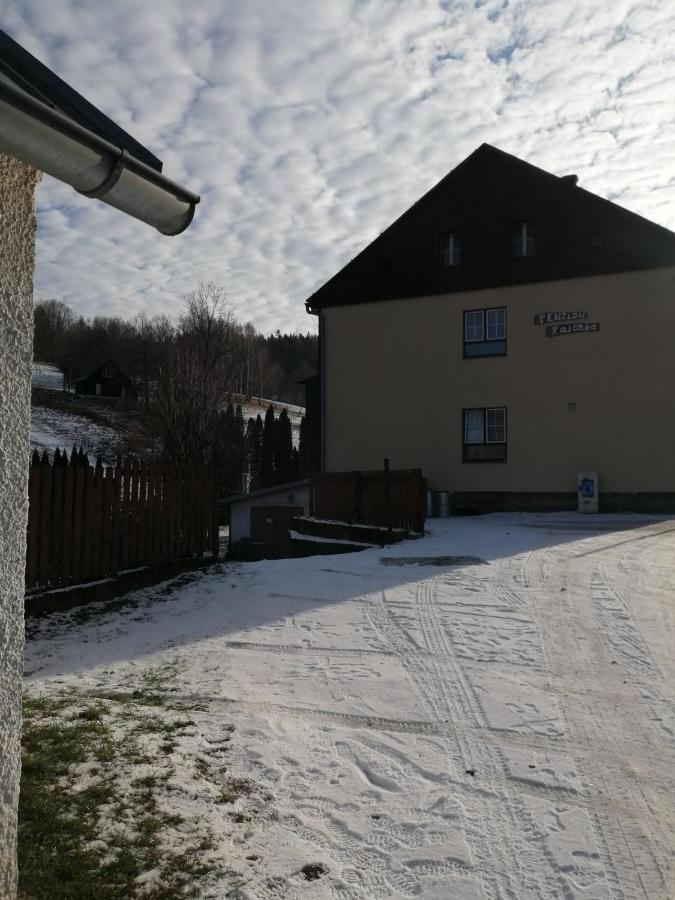 Penzion Hajenka Petrovice  Extérieur photo