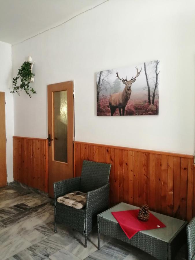 Penzion Hajenka Petrovice  Extérieur photo